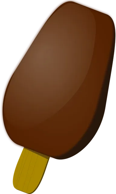 Kinder Maxi 21g T1