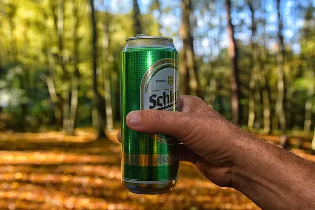 Heineken Lager Cans 500ml