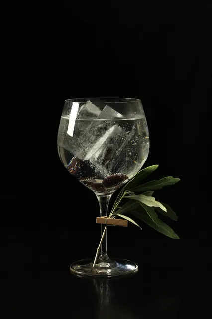 Schweppes Citrus Mix 1l