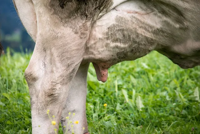 Aptamil Pronutra Stage 2 Follow On Milk from 6-12 months 900g